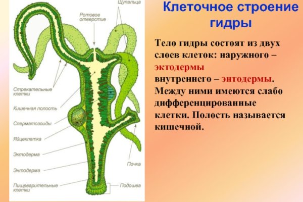 Адрес кракен в тор