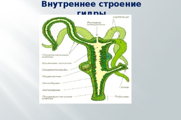 Что продает кракен